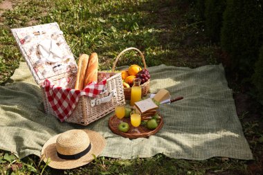 Masa takımlı piknik sepeti, farklı atıştırmalıklar, meyve suyu ve şapka açık havada, mesaj için yer