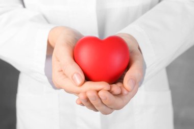 Gri arka planda kırmızı kalbi tutan doktor, yakın plan.