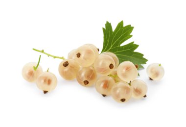 Taze kuşüzümü ve yeşil yaprak beyaza izole edilmiş.