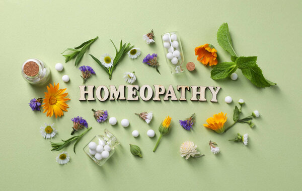 Word Homeopathy, pills and medicinal herbs on olive background, flat lay