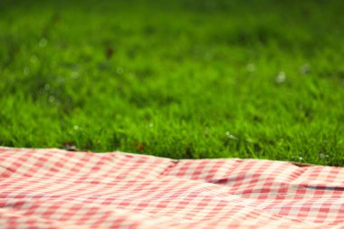 Yeşil çimlerde kareli piknik masası örtüsü, yakın plan. Metin için boşluk