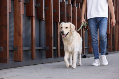Sahibi sevimli Golden Retriever köpeğiyle geziyor, yakın plan. Metin için boşluk