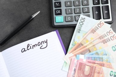 Sözcüklü defter: Alimony, euro banknotları, hesap makinesi ve kalem gri masada, düz yatıyordu