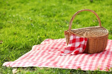 Yeşil çimlerin üzerinde kareli peçete ve battaniyeli bir piknik sepeti. Metin için boşluk