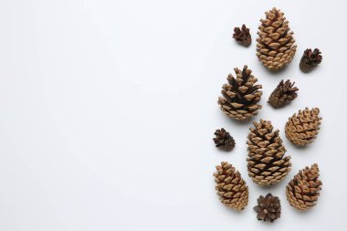 Beyaz arka planda farklı koniler, düz koni. Metin için boşluk