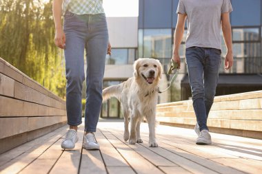 Güneşli bir günde sevimli Golden Retriever köpeğiyle gezen çift, yakın plan.