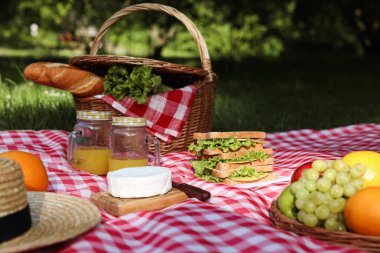 Dışarıdaki kareli battaniyenin üzerinde lezzetli yiyecek, içecek ve sofra takımı olan piknik sepeti.