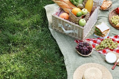 Açık hava battaniyesinde lezzetli yiyecek ve içeceklerle piknik sepeti, mesaj için yer.