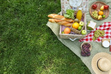Piknik sepeti, üzerinde lezzetli yiyecekler ve içecekler olan açık havada, manzaranın üstünde. Metin için boşluk
