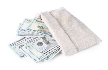 Çantadaki dolar banknotları beyaza izole edilmiş.