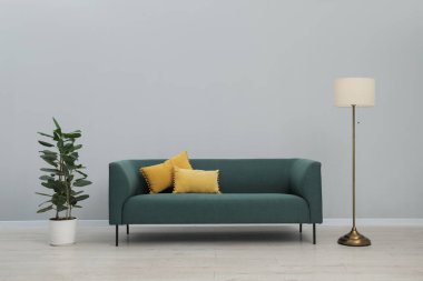 Rahat kanepe ve bitki örtüsü olan şık bir oda.