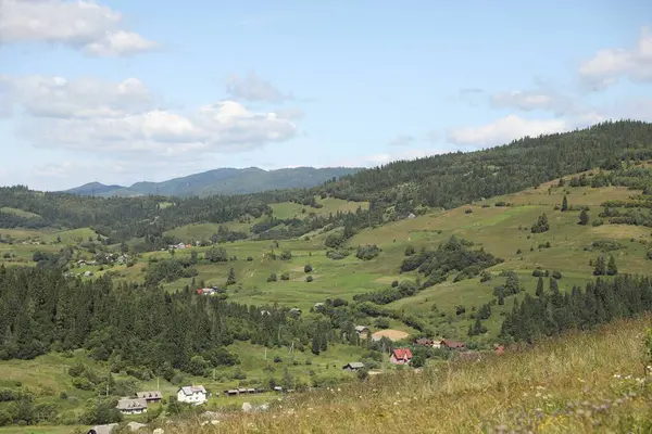 Mavi gökyüzünün altındaki dağlardaki evler ve ormanların resimli görüntüsü.