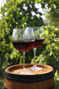 Bardakta lezzetli şarap, dışarıda ahşap fıçıda.