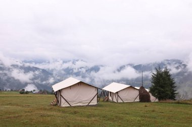 Dağlarda sisle kaplı bir sürü çadır ve orman var. Glamping alanı