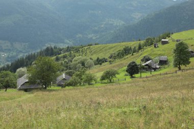 Gökyüzünün altındaki ormanların güzel manzarası