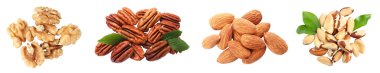 Beyaz arka plan ve koleksiyonda farklı fındıklar. Fındık, ceviz, badem ve fındık