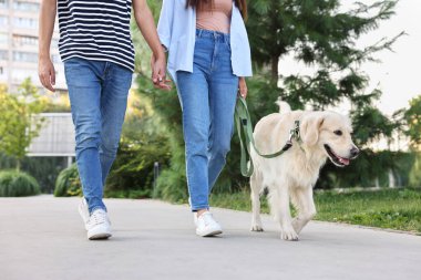 Tatlı Golden Retriever köpeğiyle gezen çift, yakın plan.