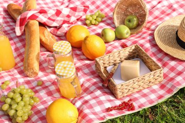 Açık havada kareli battaniyede piknik yapmak için farklı atıştırmalıklar ve meyve suyu.