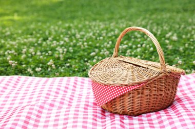 Yeşil çimlerin üzerinde kareli peçete ve battaniyeli bir piknik sepeti. Metin için boşluk