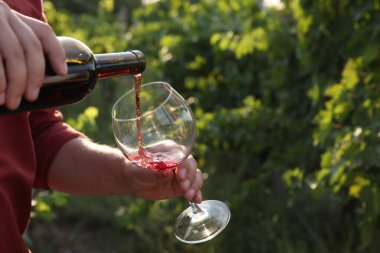 Adam şişeden bardağa lezzetli şarap dolduruyor, yakın plan. Metin için boşluk