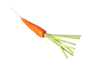 Taze olgun bir havuç beyazda izole edilmiş.