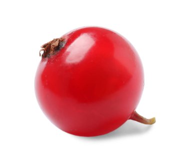 Bir taze kırmızı kuş üzümü beyaza izole edilmiş.