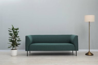 Rahat kanepe ve bitki örtüsü olan şık bir oda.