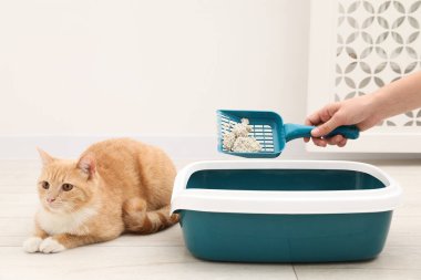 Kadın kedi kumu tepsisini kepçeyle temizliyor. Kapalı alanda, yakın plan.
