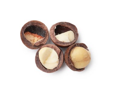 Beyaz kabuklu Macadamia fındıkları, üst manzara