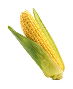 Beyaz kabuklu mısır koçanı.