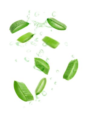 Taze aloe vera dilimleri ve beyaz arkaplanda meyve suyu damlaları