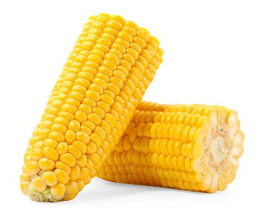 Taze mısır koçanı parçaları beyaza izole edilmiş.