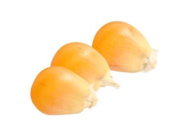 Taze olgun mısır taneleri beyaza izole edilmiş.