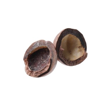 Macadamia fındık kabuğunun bir kısmı beyaza izole edilmiş.