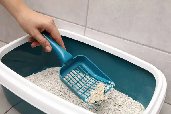 stock image Woman cleaning cat litter tray with scoop indoors, closeup