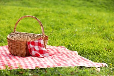 Yeşil çimlerin üzerinde kareli peçete ve battaniyeli bir piknik sepeti. Metin için boşluk