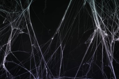 Siyah arkaplana karşı örümcek ağı, eğimli menekşe rengi