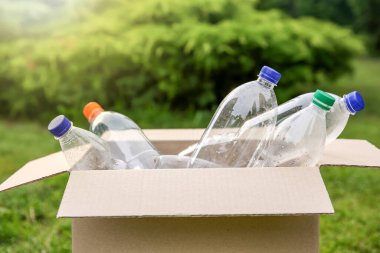 Geri dönüşüm. Açık havada karton kutuda plastik şişeler