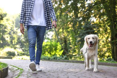 Sahibi sevimli Golden Retriever köpeğiyle geziyor, yakın plan.