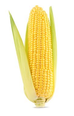 Beyaz kabuklu mısır koçanı.