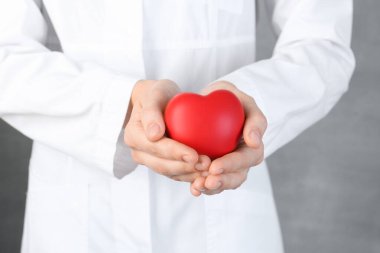 Gri arka planda kırmızı kalbi tutan doktor, yakın plan.