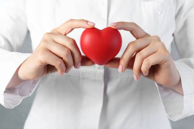 Gri arka planda kırmızı kalbi tutan doktor, yakın plan.