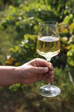 Bardak tutan adam dışarıda lezzetli şarapla, yakın plan.