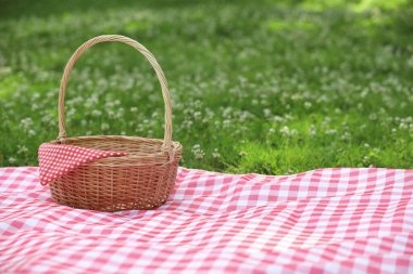 Yeşil çimlerin üzerinde kareli peçete ve battaniyeli bir piknik sepeti. Metin için boşluk