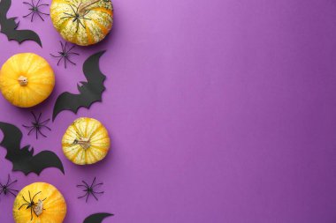 Mor arka planda Cadılar Bayramı dekoru olan düz bir kompozisyon. Metin için boşluk