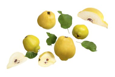 Fresh quinces and green leaves flying on white background clipart