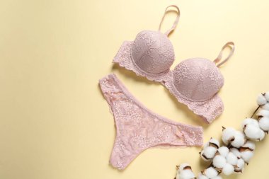 Zarif pembe dantelli kadın iç çamaşırı ve bej arka planda pamuk çiçekleri, üst manzara. Metin için boşluk