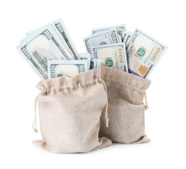 Beyaz torbalarda izole edilmiş dolar banknotları