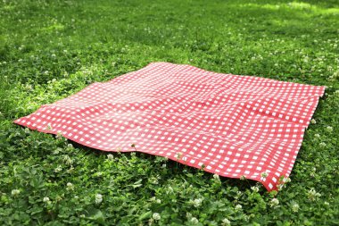 Yeşil çimlerin üzerinde kareli bir piknik örtüsü