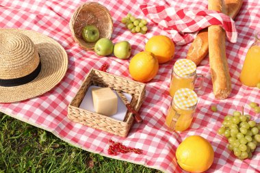 Açık havada kareli battaniyede piknik yapmak için farklı atıştırmalıklar ve meyve suyu.